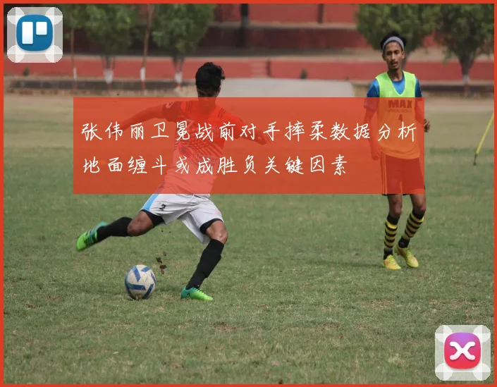 张伟丽卫冕战前对手摔柔数据分析地面缠斗或成胜负关键因素